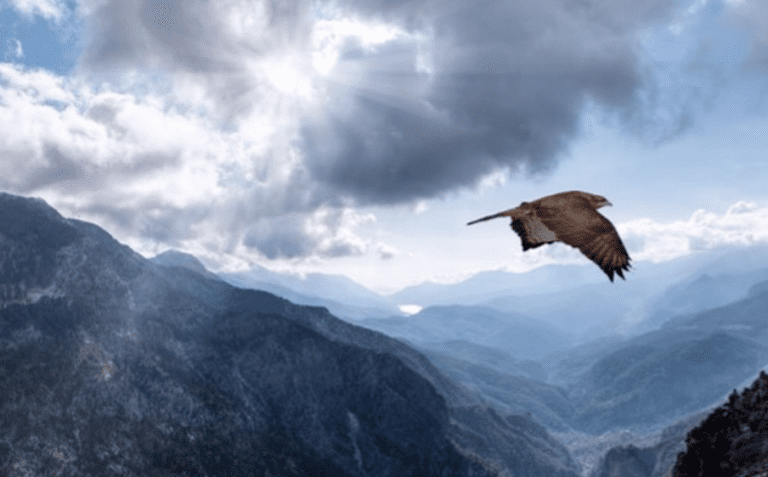 Virtue of the Week – Honor